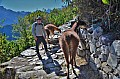 365 Machu Picchu