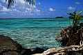 005 'Upolu - Costa sud-occidentale