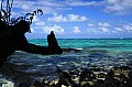 011 'Upolu - Costa sud-occidentale