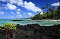 020 'Upolu - Costa sud-occidentale