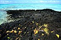 022 'Upolu - Costa sud-occidentale