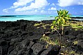 025 'Upolu - Costa sud-occidentale