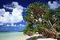 031 'Upolu - Costa sud-occidentale