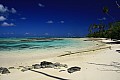 037 'Upolu - Costa sud-occidentale