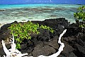 041 'Upolu - Costa sud-occidentale