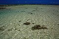 053 'Upolu - Costa sud-occidentale