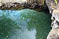 075 'Upolu - Piula cave pool