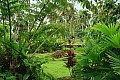 086 'Upolu - Sopo'aga waterfall