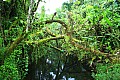 088 'Upolu - Fuipisia Waterfall