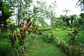 089 'Upolu - Fuipisia Waterfall