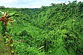 091 'Upolu - Fuipisia Waterfall