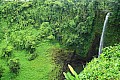 092 'Upolu - Fuipisia Waterfall