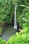 093 'Upolu - Fuipisia Waterfall