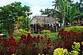 096 'Upolu - Fuipisia Waterfall