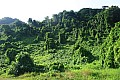 098 'Upolu