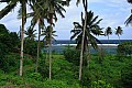 100 'Upolu