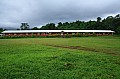 102 'Upolu