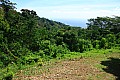 118 'Upolu - Mount Vaea