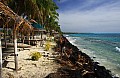 203 Savaii - Costa nord-orientale