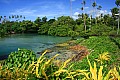210 Savaii - Costa nord-orientale