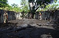 220 Savaii - Lava field