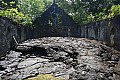 221 Savaii - Lava field