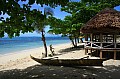 226 Savaii - Costa sud-orientale