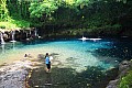 231 Savaii - Costa sud-orientale