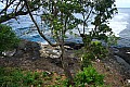 237 'Upolu - Costa sud-orientale