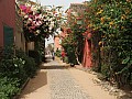 Isola di Goree-0011