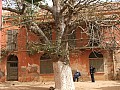 Isola di Goree-0012