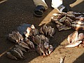 Mbour-0005