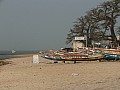 Sali-0007