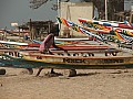 Sali-0008