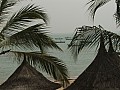 Sali-0012