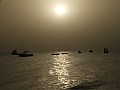 Sali-0018