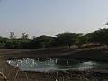 Senegal Wild Life-0006