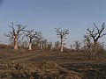 Senegal Wild Life-0014