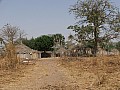 Senegal Wild Life-0022