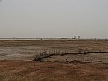 Senegal Wild Life-0023