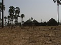 Senegal Wild Life-0024