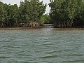 Senegal Wild Life-0025