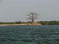 Senegal Wild Life-0026