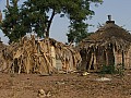 Senegal Wild Life-0028