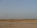 Senegal Wild Life-0032