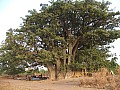 Senegal Wild Life-0033