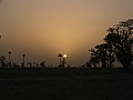 Senegal Wild Life-0034