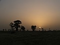 Senegal Wild Life-0035