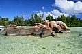 0019 Praslin - Anse Volbert