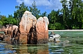 0022 Praslin - Anse Volbert